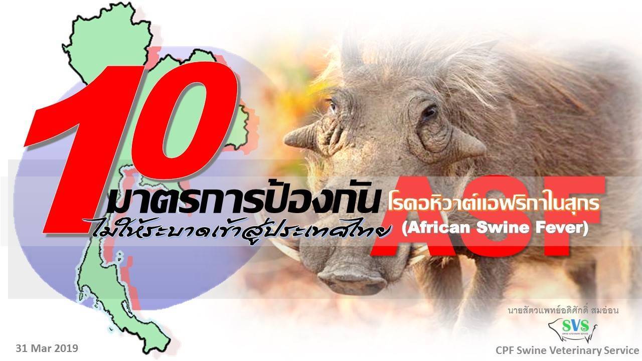 10 มาตรการป้องกันไม่ให้ระบาดสู่ประเทศไทย